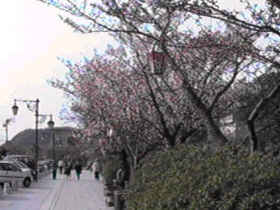 �v�������@���T����