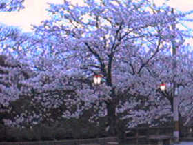 �v�������@�邪�҂�������