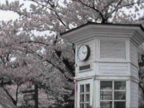 �v�������E�d�b�{�b�N�X