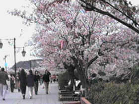 �v������