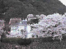 �v������