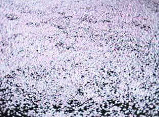 ���@�ԁ@�W���[�^��