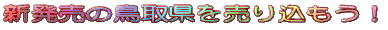 V̒挧𔄂荞I